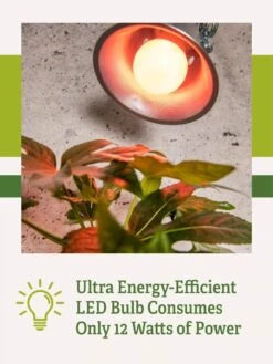 Miracle LED® Absolute Daylight™ Max Flowering Grow Light Bulb 11 Miracle LED® Absolute Daylight™ Max Flowering Grow Light Bulb -Garden Care Store Miracle Daylight Bulb 2