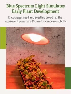 Miracle LED® Absolute Daylight™ Max Flowering Grow Light Bulb 13 Miracle LED® Absolute Daylight™ Max Flowering Grow Light Bulb -Garden Care Store Miracle Daylight Bulb 4