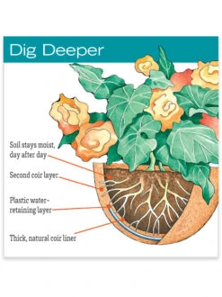 AquaSav™ Replacement Liners, Set Of 3 8 AquaSav™ Replacement Liners, Set Of 3 -Garden Care Store hiw 38 583