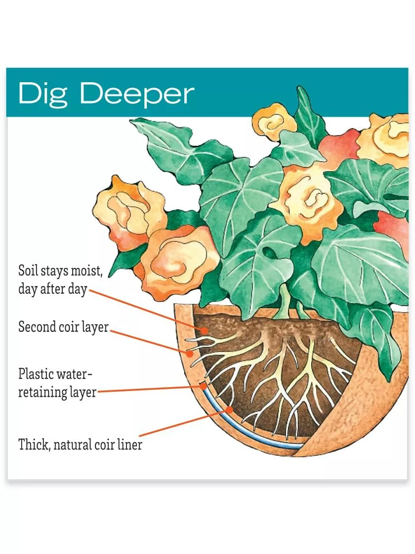 AquaSav™ Oxford Hanging Basket, 14" 4 AquaSav™ Oxford Hanging Basket, 14" - Image 2