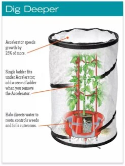 Tomato TLC Kits, Set Of 3 11 Tomato TLC Kits, Set Of 3 -Garden Care Store hiw 8594214 jpg