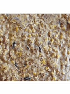 Woodpecker Almond Suet, 11.75 OZ, 12 Pack -Garden Care Store webimage 8613691 04V