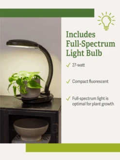Agrobrite Desktop Plant Light -Garden Care Store webimage Agrobrite Desktop